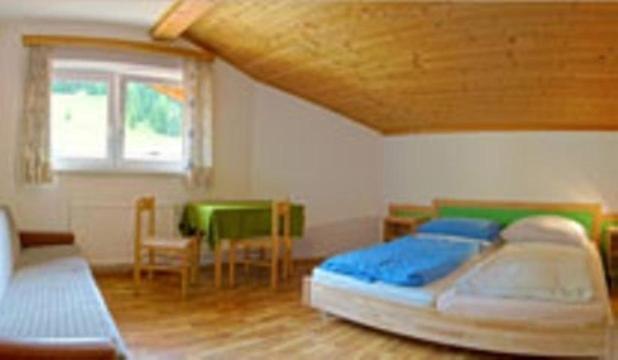Jugendgastehaus Steiner Vandrerhjem Eben Im Pongau Eksteriør bilde